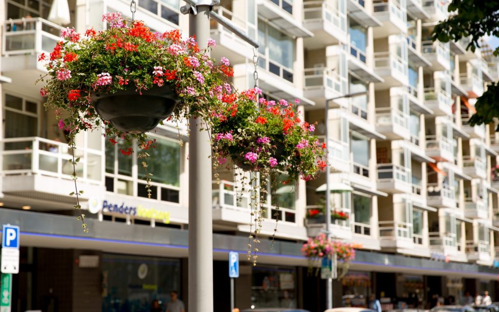 Lente in het Hoogkwartier